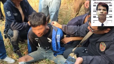 Photo of 警犬立功 桥底草丛擒命案凶手