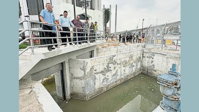 Photo of 耗资650万  蒲种山庄防洪工程顺利