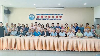 Photo of 霹华堂携手47单位协办 下月28元宵大匯演