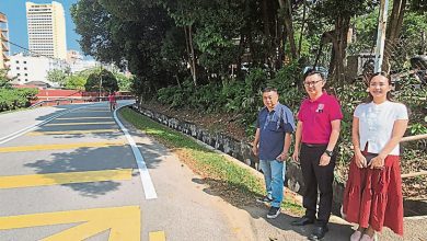 Photo of 道路弯曲树木阻挡视线 甲三宝山路车祸黑区