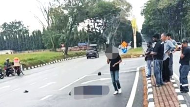 Photo of 撞死警员逃离现场 八旬妇被捕