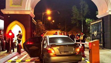 Photo of 撞毁王宫前挡车柱道闸 酒驾男被捕