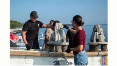 Photo of 英初创公司推“安息礁” 骨灰变珊瑚放入海底