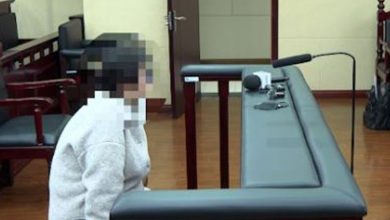 Photo of 信任被背叛！10年老臣做假账盗3500万 为买玉养百只猫