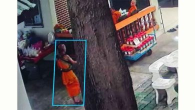 Photo of 巨蟒闯寺自行捕捉 僧人被缠晕险送命