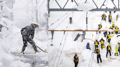 Photo of 白色灾难! 日本多地持续强降雪 致14死198受伤