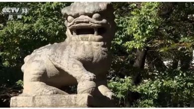 Photo of 央视:靖国神社石狮唐鸿胪井碑都来自中国 日本该还了