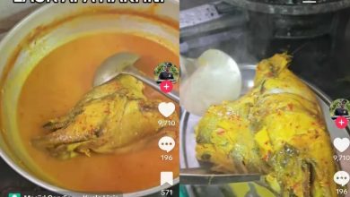 Photo of “想吃得穿皮鞋!” “吸血鬼鱼”料理走红