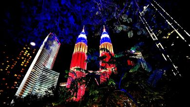 Photo of 4220万访客 旅游信心回流 王晓庭：需把热度转为竞争力