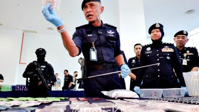 Photo of 去年破1.8万案捕2万人 起100吨毒品总值11亿