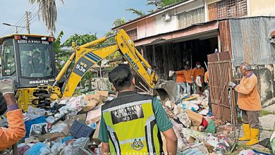 Photo of 市厅6次清理 起诉罚款无效 老妇囤垃圾故态复萌