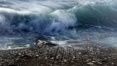 Photo of 专家60年前预测 2026年11月13日世界末日