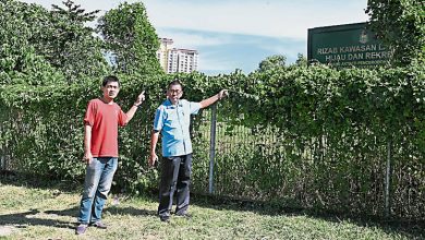 Photo of 余保凭：规划2年未动工 绿肺保留地恐沦商用地