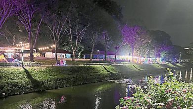 Photo of 网民投诉设施残旧缺管理 近打河畔维护提升