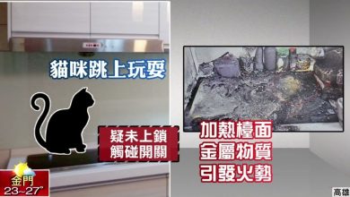 Photo of 宠物猫误触感应炉开关酿火灾   2女饲主判坐牢兼须赔偿14万