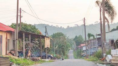 Photo of 丹迎罕见低温 话望生低至19℃