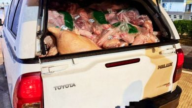 Photo of 重量差异露马脚 执法员识破猪肉走私