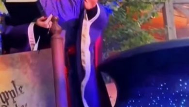 Photo of 迪士尼乐园反派消失?最受欢迎邪恶皇后演员暗示被炒?