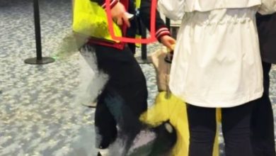 Photo of 登机前抽查“颈枕”发现超重 旅客罚290令吉控诉不公