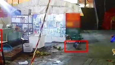 Photo of 【视频】喂流浪猫救自己一命 男子差2秒被花盆砸死