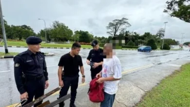 Photo of 涉木棍击毙狸花猫 吸毒前科男被捕
