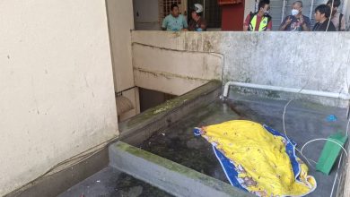 Photo of 疑与男友争吵后情绪失控 她推开“鸟笼”窗一跃而下