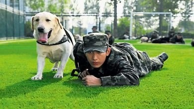 Photo of 《长安24计》成毅旧片诈尸重映 前东家蹭热度吸血