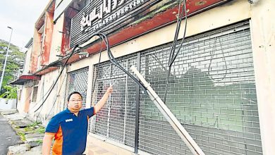 Photo of 太平古打桥商区电缆频失窃 长期未解决困扰商民