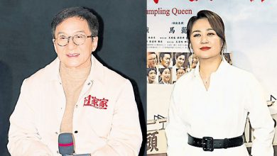 Photo of 《熊猫计划2》今年上映 成龙搭档马丽增吸引力