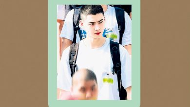 Photo of 脸蛋天才车银优 涉逃税完了 韩国防部铲走视频