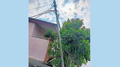 Photo of 住宅区电讯柱遭罗里扯断 居民断网数天