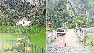Photo of 峭壁岩石坠落 彭佛教会园湖区封锁