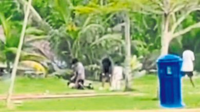 Photo of 社媒流传视频 少年疑在公园被霸凌