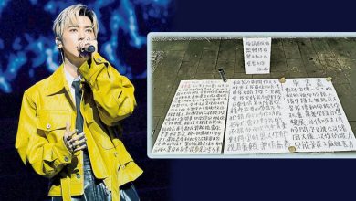 Photo of 遭举大字报辱骂无耻 毕书尽新年赢官司