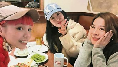 Photo of 演唱会遭抺黑提告网友 蔡依林灿笑合体2女神