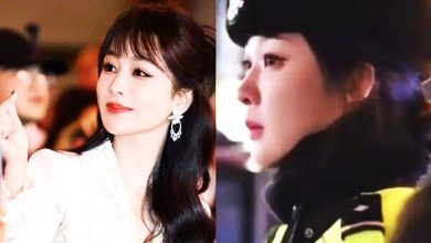 Photo of 京城女警撞脸杨紫 游客以为遇到大明星