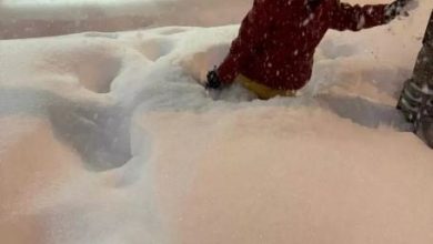 Photo of 最低温-50度！加拿大遭冬季风暴袭击 多地降雪寒气逼人