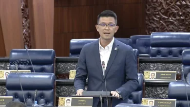 Photo of “若有人反对就关 我婆婆可当议员” 陈家兴：非一味否定养猪