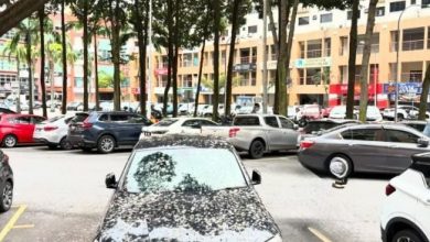 Photo of BMW独霸2车位 遭鸟粪洗礼