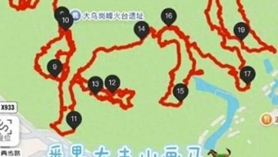 Photo of 广州万人进山“画马”! 爬陡坡翻围墙有人跌倒 景区急关闭路线