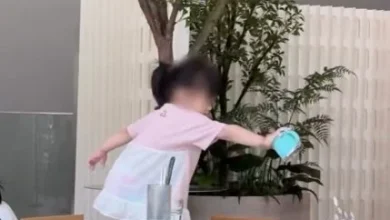 Photo of 放任孩子餐厅丢石头 妈妈全程无视 网民炸锅