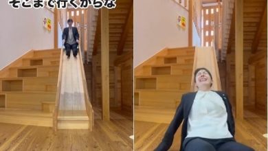 Photo of 日大臣溜滑梯视频爆红 网友赞：太可爱了