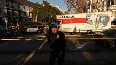 Photo of 货车冲进洛杉矶声援伊朗示威人群致3伤 肇事车窗遭打破