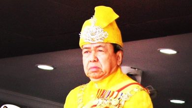 Photo of 雪苏丹：丹绒士拔养猪场  须分阶段迁武吉达卡