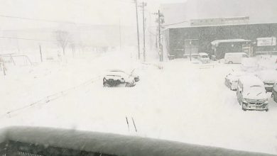 Photo of 超强寒流袭日连多天降雪