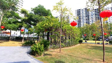 Photo of 加基拉南 玫瑰园装万盏灯笼 阿依淡红装迎春 