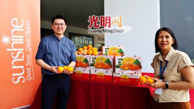 Photo of 气候雨量促成大丰收 永春芦柑降价9%