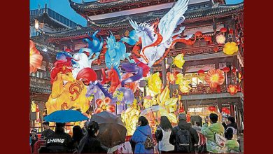 Photo of 沪豫园马年灯会亮灯