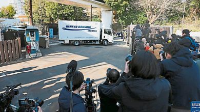 Photo of 日最后2只熊猫 晓晓蕾蕾返回中国