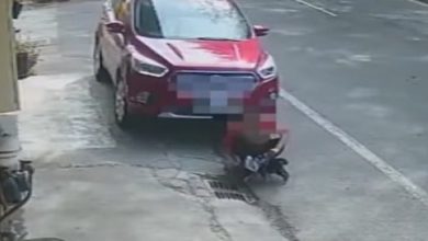 Photo of ​蹲路边逗狗遭休旅车辗过！ 贵宾狗惨死 女子送医急救
